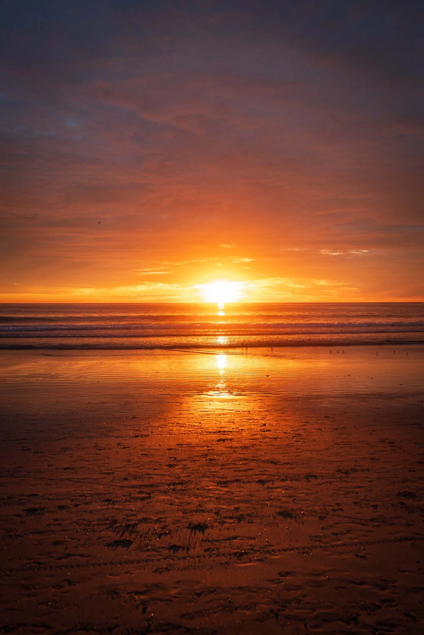 Venice Beach Sunset Photoshoot Fall 2024